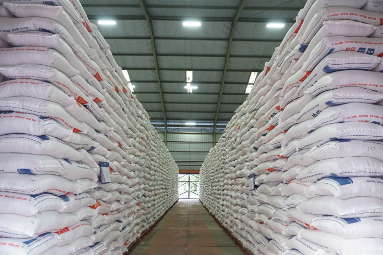Produksi dan Stok Beras Capai Rekor, AMMPI Tuding Media "Tempo" Berpihak Mafia Pangan