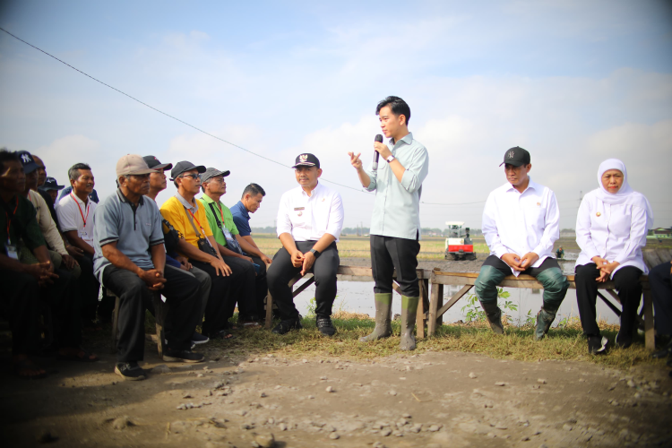 Lebih Sering Berada di Sawah Ketimbang di Kantor, Apresiasi Prabowo dan Gibran Kepada Mentan Amran.